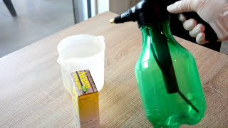 Neemöl Anwendung - Schritt für Schritt Anleitung - Garten Tipps 2021