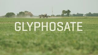 Enquête | The Monsanto papers: The Canadian Connection