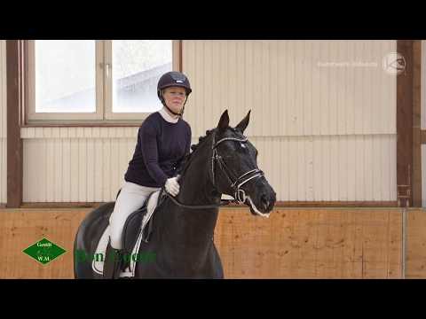 Bon Coeur - Gestüt W.M. 2018