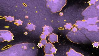 Kid Cudi - Pursuit of Happiness