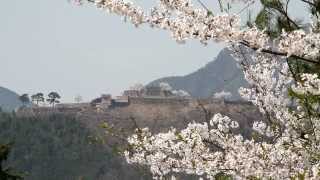 preview picture of video '兵庫県　立雲峡から竹田城と桜'