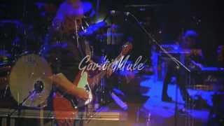 Gov&#39;t Mule - Bad Little Doggie (Hondarribia Blues Festival 2014)