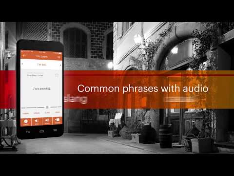 IHG® Translator Video