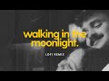 Walking In The Moonlight Lofi Remix Hariharan Malayalam Lofi