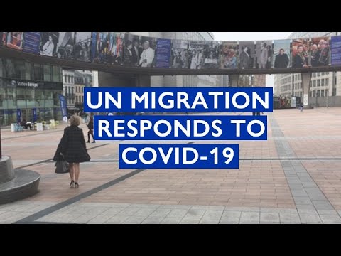 Fighting Stigma and Discrimination against Migrants | International Organization for Migration