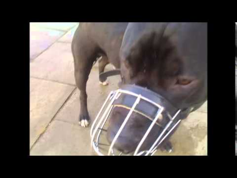 Locomotyff   Łapiesz To Raczej