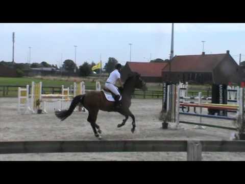 Jasco Van Den Bisschop (Dulf x Krunch)