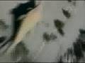 Spiritualized - Electricity