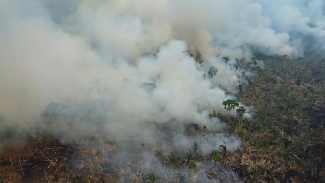 Desmatamento na Amazônia brasileira cai 68% em abril | AFP