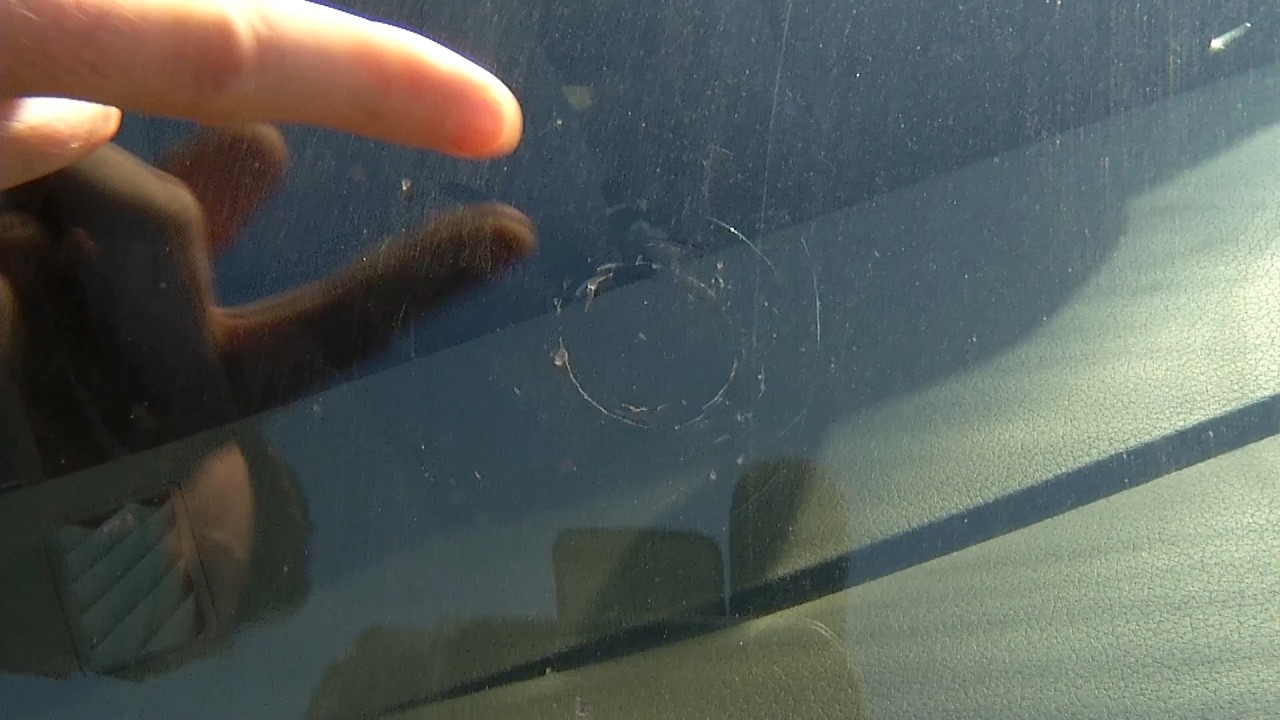 Время местное. Эфир: 31-03-2026 - Криминальная хроника