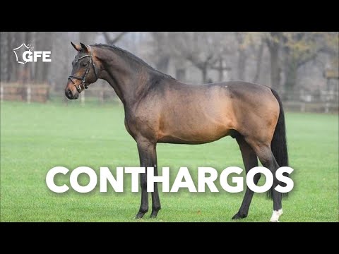 Conthargos - 2020