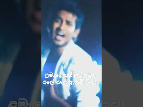 Wasi Daaka (වැසි දාක) by Adeera Shamal & Raini Charuka ft. Raj