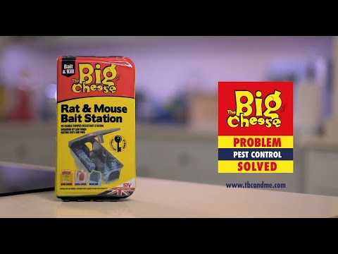 The Big Cheese Rat & Mouse Bait Station - STV179