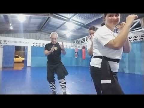 Entrenamiento de Kung fu, palmares alajuela 