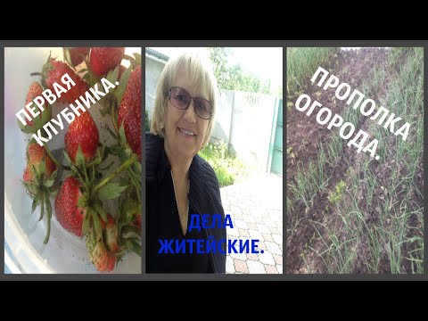 Дела житейские  Маникюр, огород и цветы.