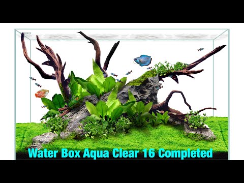 WaterBox Aquarium Aqua Clear 16 finally completed