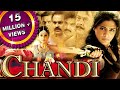 Chandi Chandee Hindi Dubbed Full Movie Priyamani Krishnam Raju Sarathkumar