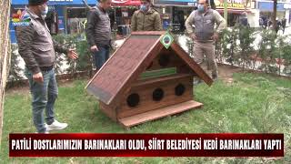PATİLİ DOSTLARIMIZIN BARINAKLARI OLDU, SİİRT BELEDİYESİ KEDİ BARINAKLA