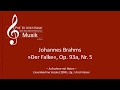 »Der Falke« - Johannes Brahms Op. 93a, Nr 5 (Noten)