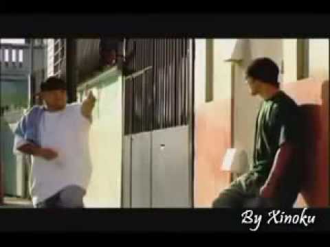 como toda una señora  dalmata