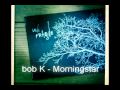 bob K - Morningstar - Fragile