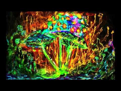 Psytrance 2016 (Forest, Dark, Twilight, Full-On) - Shoomska Televizija - Mixed by: Digital Mutant