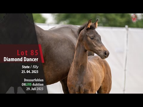 ONLIVE-AUKTION Lot 85 Diamond Dancer Stute v. Dynamic Dream - Bretton Woods