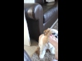 Minnie Does Feet