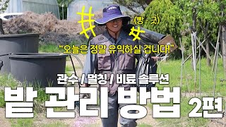 관수 설치, 멀칭 작업, 비료 효과적으로 잘 주는 법! 대한민국 모든 농업인들을 위한 밭(토양) 관리 솔루션…