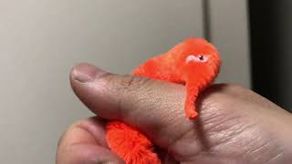 暴れるモーラー