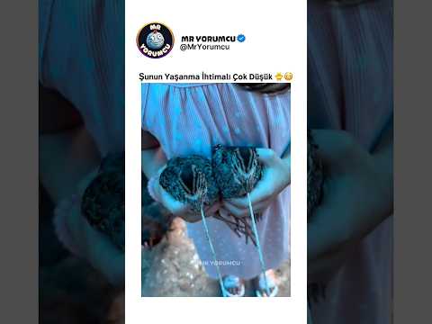 Şunun Yaşanma İhtimali Yüzde Kaçtır