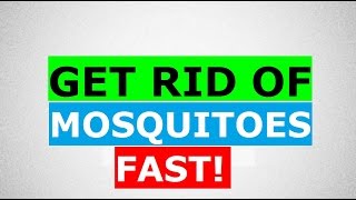 preview picture of video 'Conroe Mosquito Control - Mosquito Misting Systems'