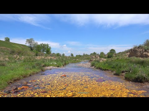 Where does gold grow naturally?