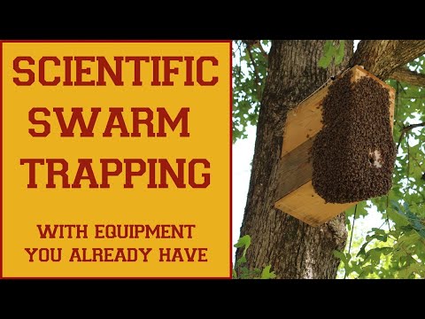 Swarm Trapping & Swarm Trap Design: Scientific Based Strategies Based on Dr. Tom Seeley's Research