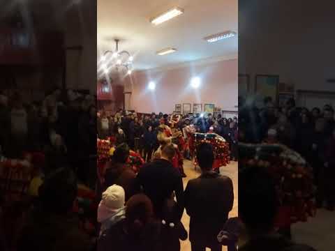 Obicei frumos din idicel padure