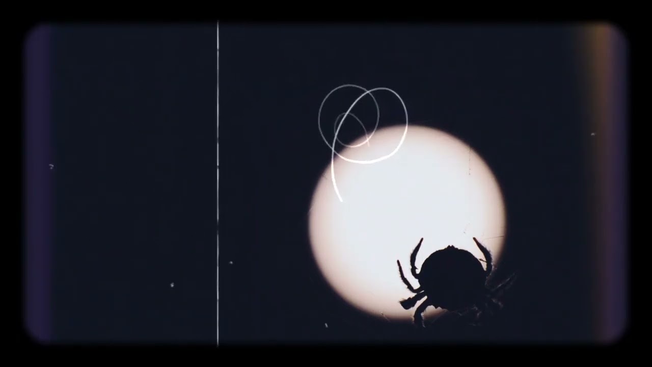 Disturbed Moon Phase 