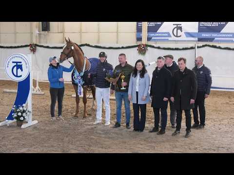 Vyhlášení výsledků - II. předvýběr hřebců 2026 pro plemennou knihu ČT v Tlumačově