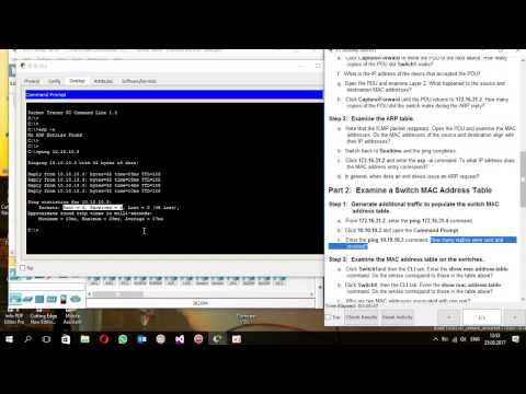 10.2.1.7 Packet Tracer - Examine the ARP Table
