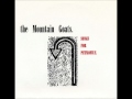 the Mountain Goats - Pure Intentions