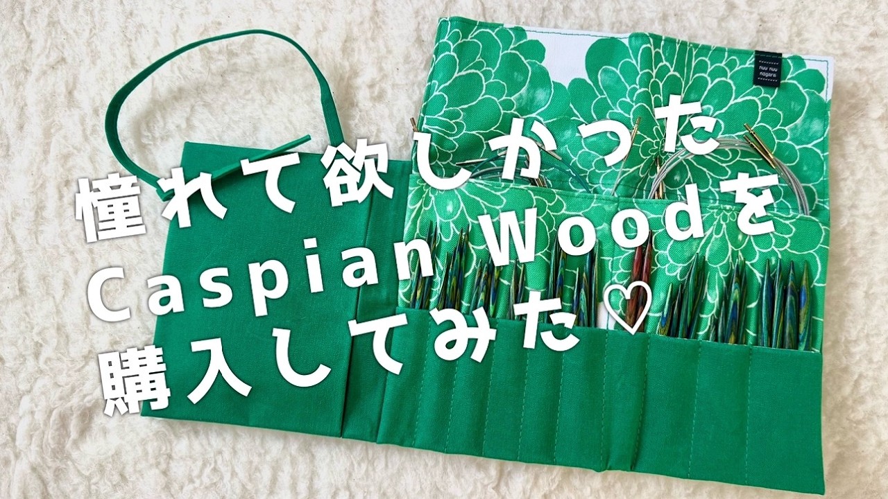 【付け替え輪針】Knit Picks Options Caspian Wood Interchangeable Needle Set【short & long】