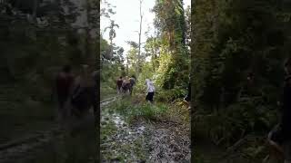 Download lagu 2 cewek cantik ketinggalan di hutan untung ketemu kami sekelompok mp3 Download lagu 2 cewek cantik ketinggalan di hutan untung ketemu kami sekelompok mp3