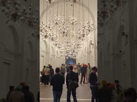 Panjab Rang Amritsar