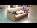 Miller Sofa/Pull-Out Sleeper