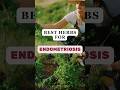 Endometriosis Pain Relief Home Remedies