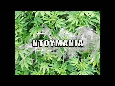 Mad Clip - Ntoymania