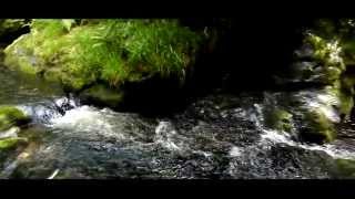 preview picture of video 'Lydford Gorge'