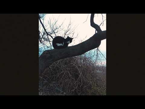 (FREE) Guardin x Skele Midwest Emo Type Beat - "cold" prod. Cl6udy x Jolst