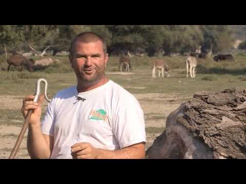 Može bolje ep. 77 24.09.2018. Uzgoj magaraca