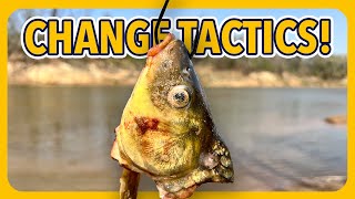 I Fished 4 Spots in One Day *Here's What Happened*