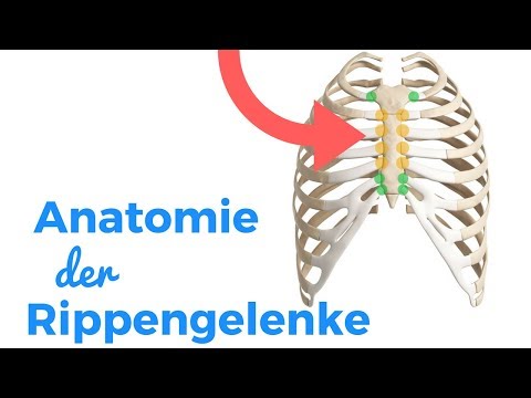 Injektionen von Hyaluronsäure zum gemeinsamen Preis in der Apotheke Osteosynthese des Knies ist